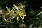 photo thumbnail #3