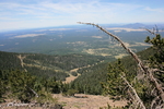 photo thumbnail #12