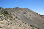 photo thumbnail #14