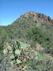 photo thumbnail #5
