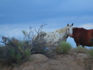 photo thumbnail #15