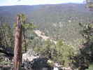 photo thumbnail #5