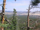 photo thumbnail #7