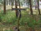 photo thumbnail #10
