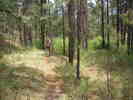 photo thumbnail #12