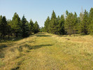 photo thumbnail #1