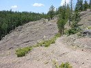 photo thumbnail #4
