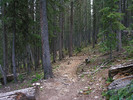 photo thumbnail #5