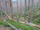 photo thumbnail #8