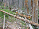 photo thumbnail #9