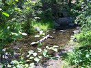 photo thumbnail #2