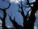 photo thumbnail #6