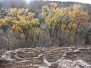 photo thumbnail #3