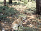 photo thumbnail #4