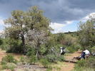 photo thumbnail #2