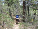 photo thumbnail #3