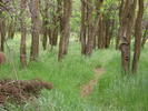photo thumbnail #8