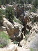 photo thumbnail #2