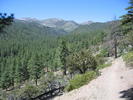 photo thumbnail #2