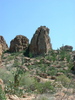 photo thumbnail #1
