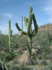 photo thumbnail #1