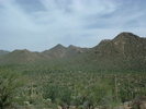 photo thumbnail #5