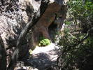 photo thumbnail #9