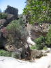 photo thumbnail #10