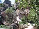 photo thumbnail #11