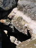 photo thumbnail #14