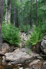 photo thumbnail #12