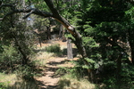 photo thumbnail #15
