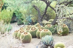 photo thumbnail #9