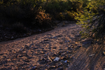photo thumbnail #12