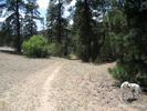 photo thumbnail #2