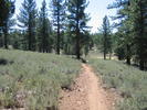 photo thumbnail #4