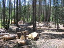 photo thumbnail #2