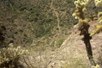 photo thumbnail #6
