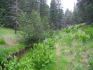 photo thumbnail #9