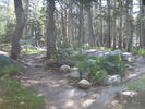 photo thumbnail #1