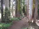 photo thumbnail #3