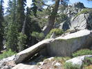 photo thumbnail #7