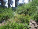 photo thumbnail #8