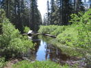 photo thumbnail #10
