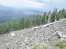 photo thumbnail #5