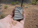 photo thumbnail #11