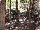 photo thumbnail #4