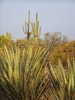 photo thumbnail #5