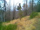 photo thumbnail #6