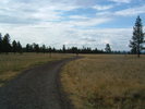 recent photo